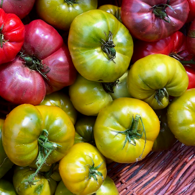 Russian Green Tomato