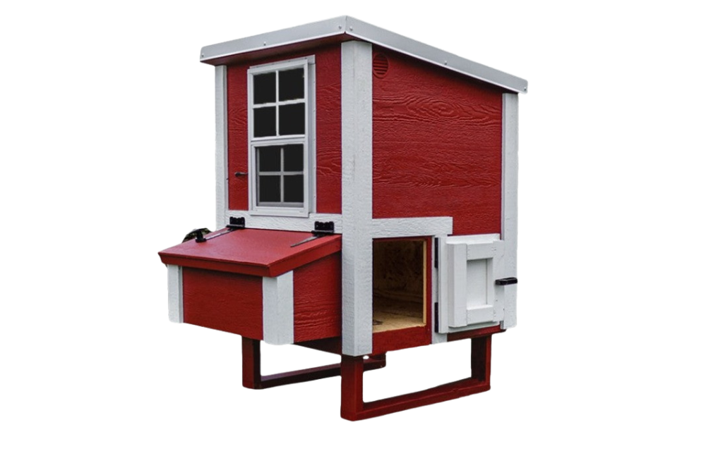 Small Chicken Coop — Up to 5 Chickens