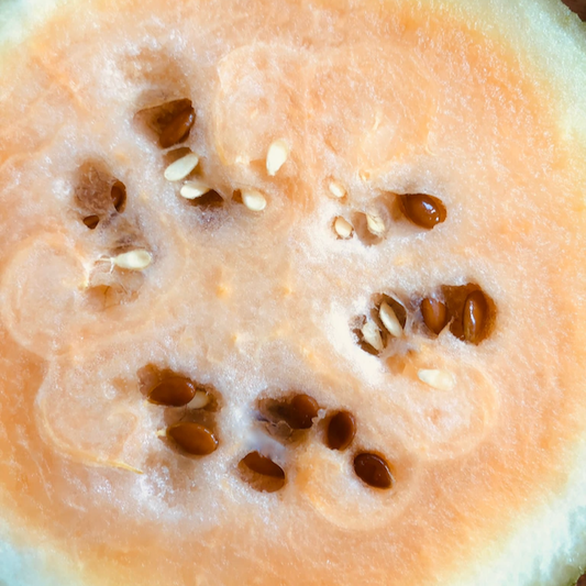 Sweet Siberian Watermelon