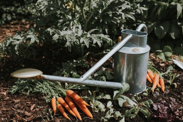 Walrey The Warley Fall - Two Gallon HDG in Galvanized – Mother Earth News