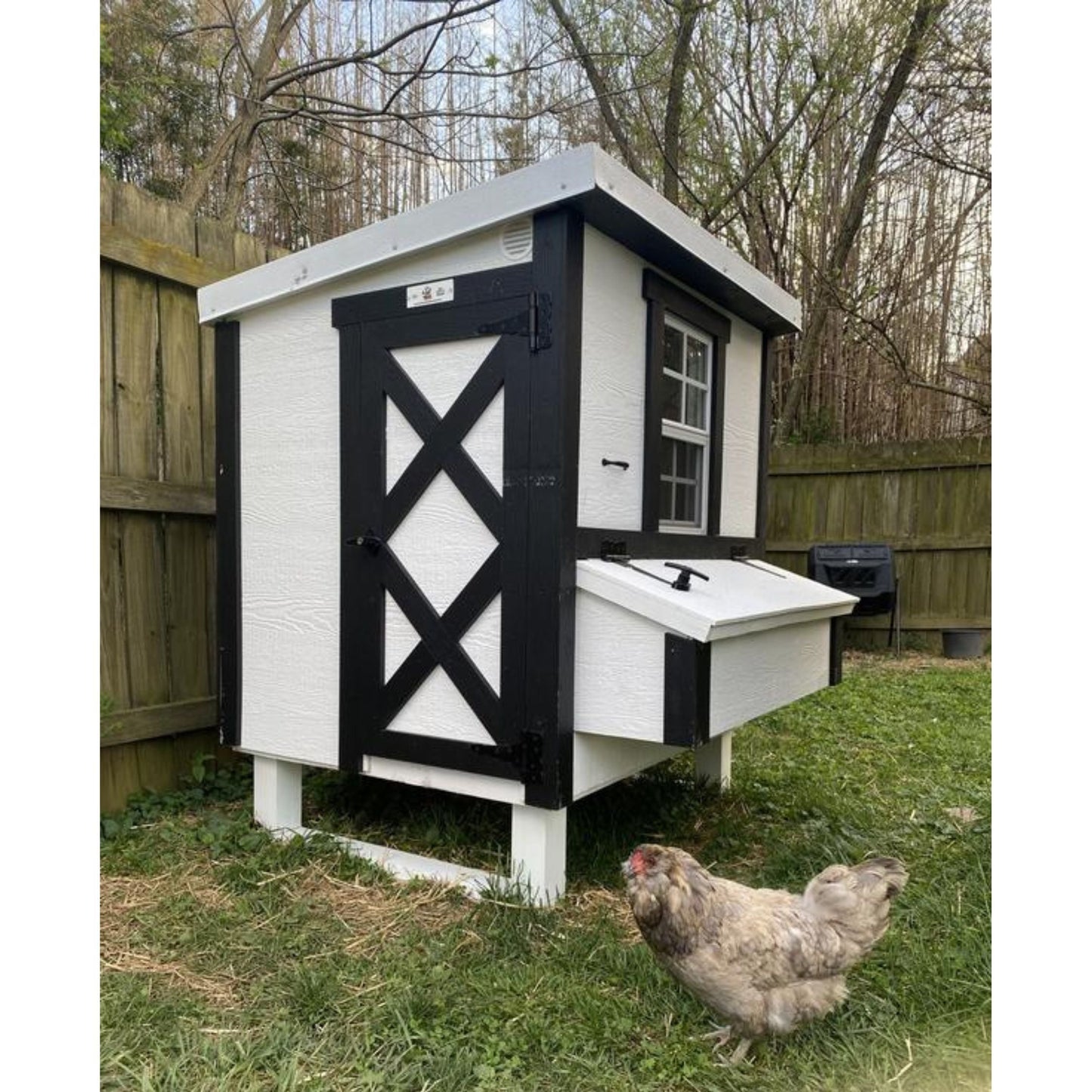 Medium Chicken Coop - Up to 10 Chickens