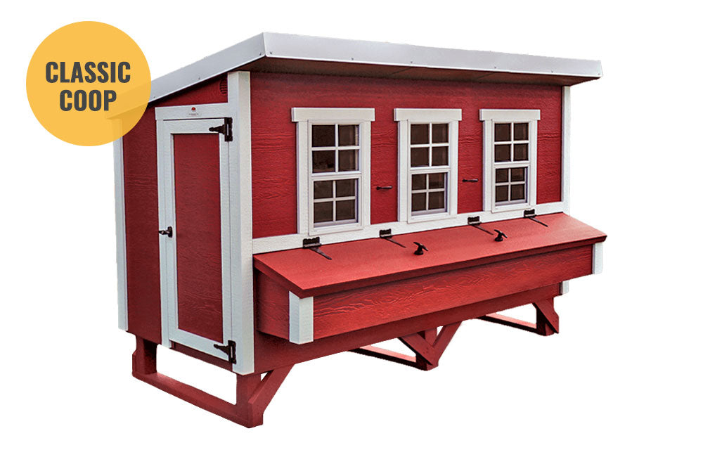 XL Chicken Coop — Up to 20 Chickens