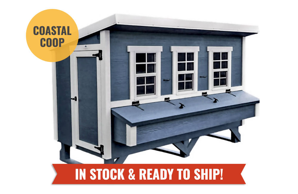 XL Chicken Coop — Up to 20 Chickens