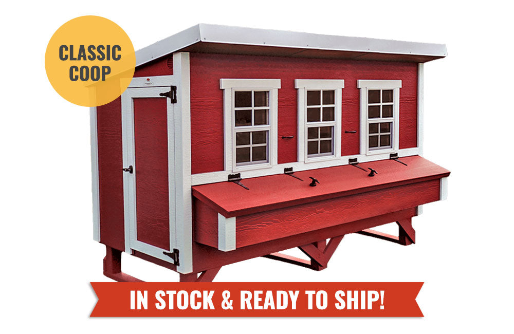 XL Chicken Coop — Up to 20 Chickens