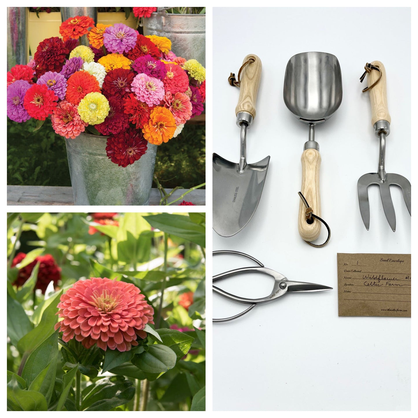 Zany for Zinnias - Our Grow Kit Gift Box with Zinnias