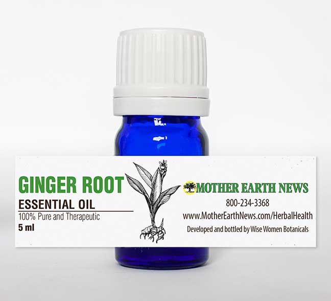 GINGER ROOT ESSENTIAL OIL