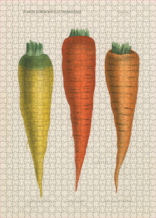 JOHN DERIAN THREE CARROTS PUZZLE