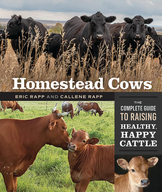 HOMESTEAD COWS