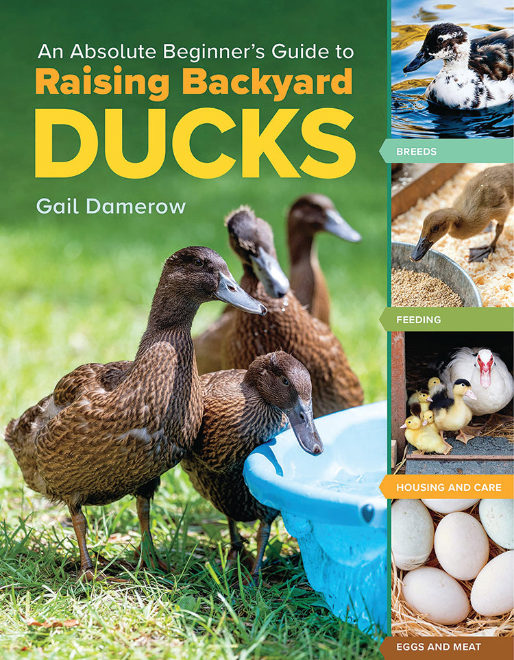 An Absolute Beginner's Guide to Raising Backyard Ducks – Mother Earth News