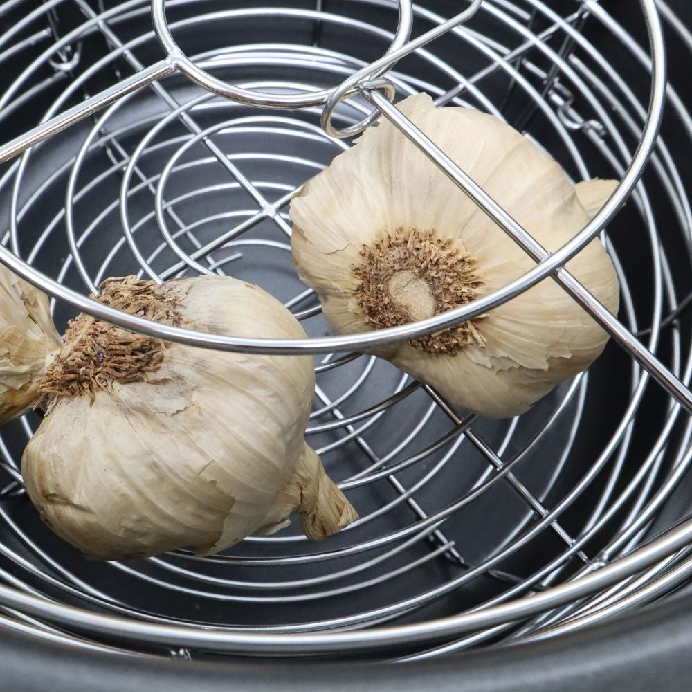 BLACK GARLIC MULTI-PURPOSE FERMENTER