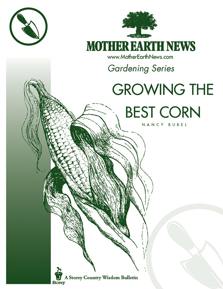 Growing The Best Corn E Handbook Mother Earth News