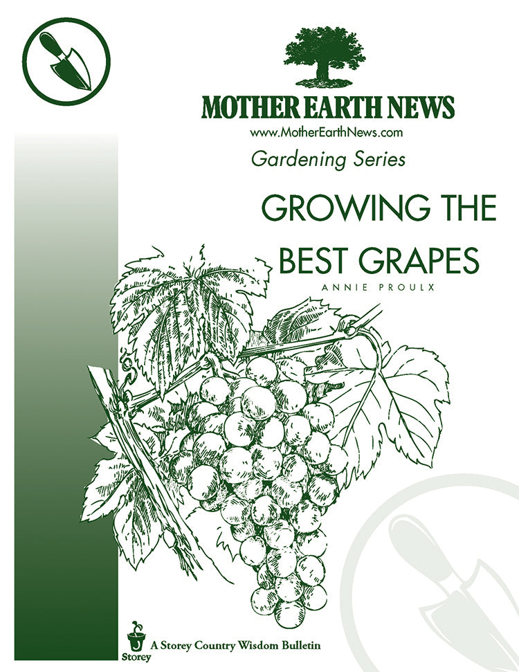 GROWING THE BEST GRAPES, E-HANDBOOK