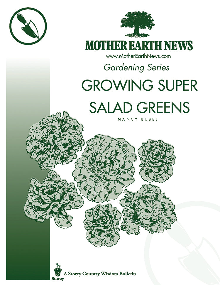 GROWING SUPER SALAD GREENS, E-HANDBOOK