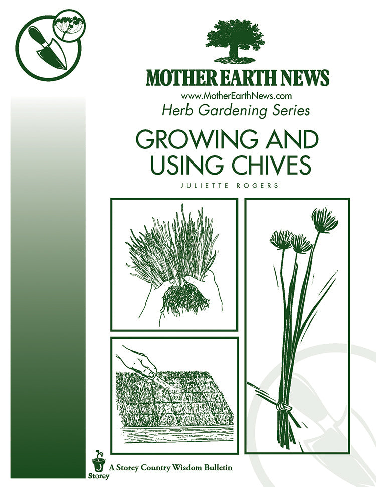 Growing And Using Chives E Handbook Mother Earth News