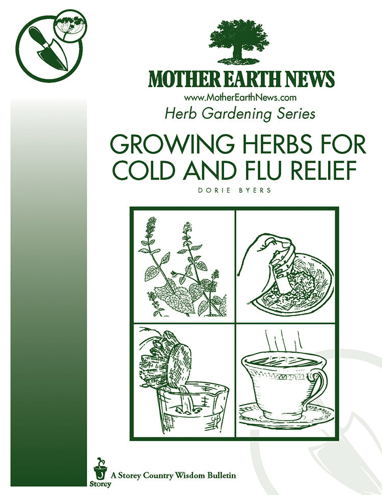GROWING HERBS FOR COLD AND FLU RELIEF, E-HANDBOOK