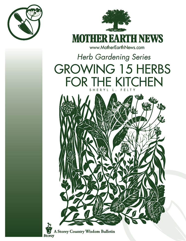 Growing 15 Herbs For The Kitchen E Handbook Mother Earth News