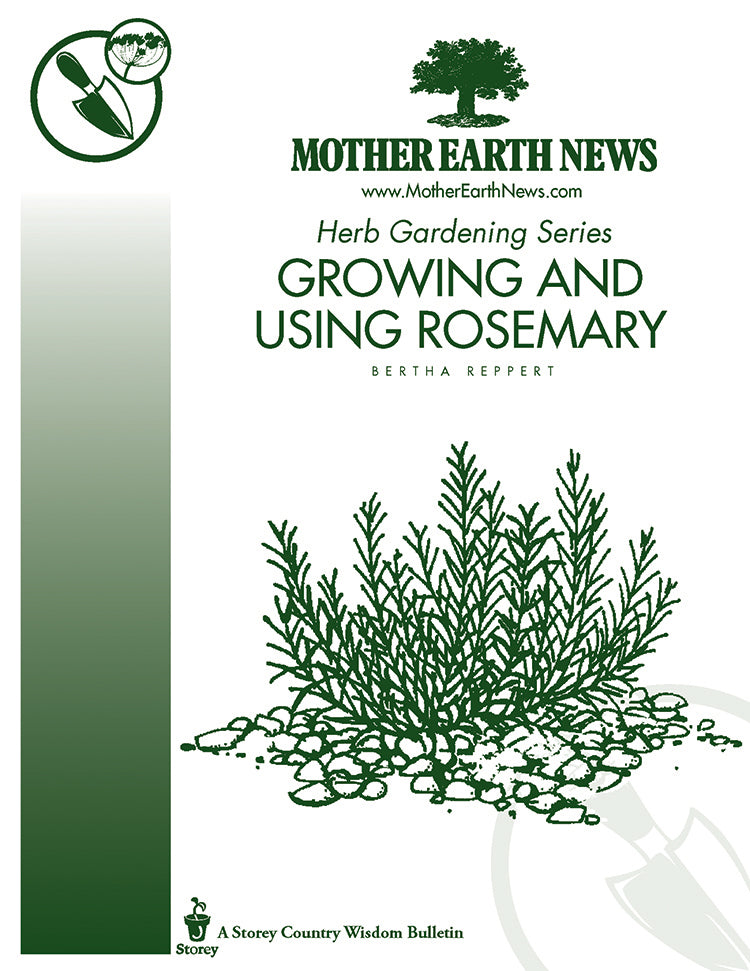 Growing And Using Rosemary E Handbook Mother Earth News