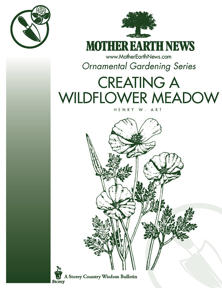 Creating A Wildflower Meadow E Handbook Mother Earth News