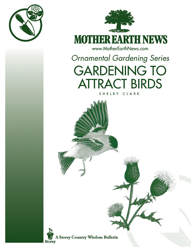 Gardening To Attract Birds E Handbook Mother Earth News