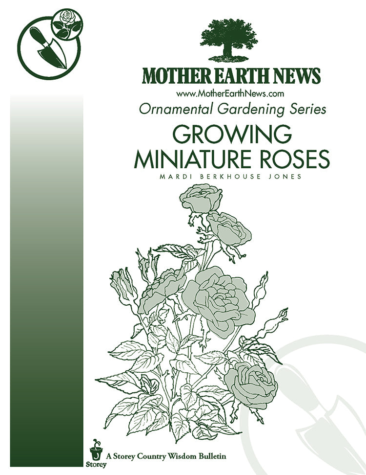 Growing Miniature Roses E Handbook Mother Earth News