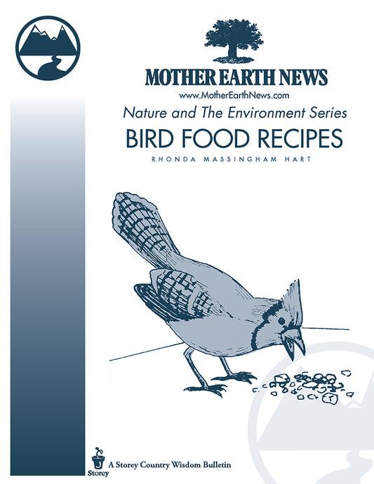 BIRD FOOD RECIPES, E-HANDBOOK