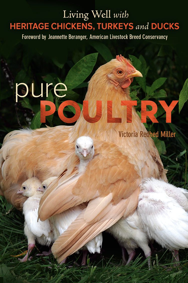 PURE POULTRY