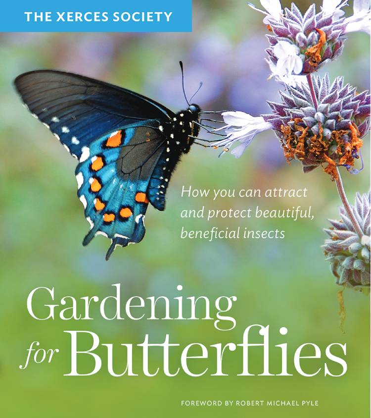 GARDENING FOR BUTTERFLIES