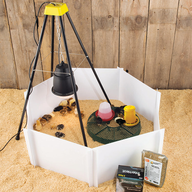 CHICKEN BROODER KIT WITH HEAT LAMP