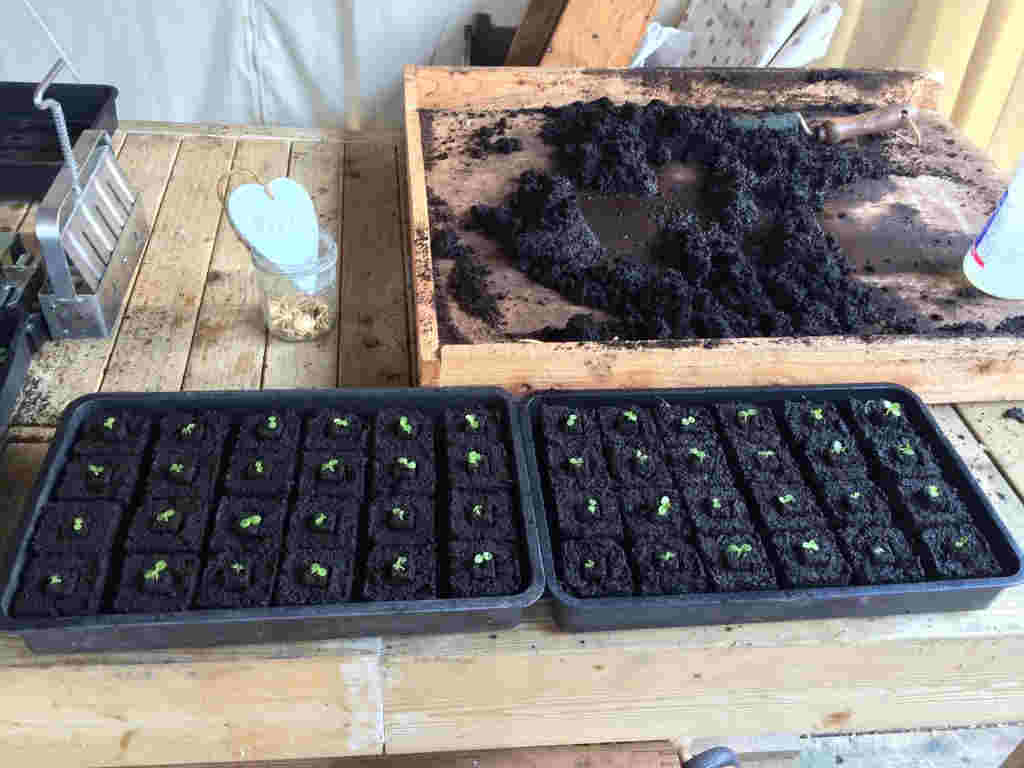 SOIL BLOCKER SET