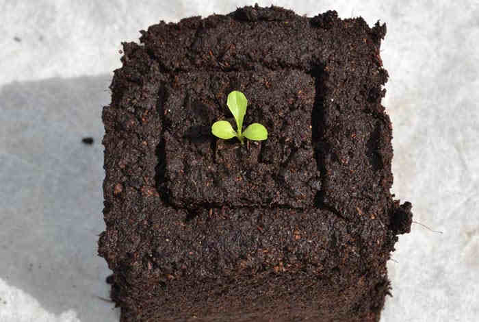 SOIL BLOCKER SET
