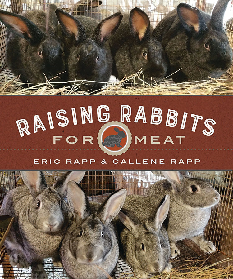 RAISING RABBITS FOR MEAT