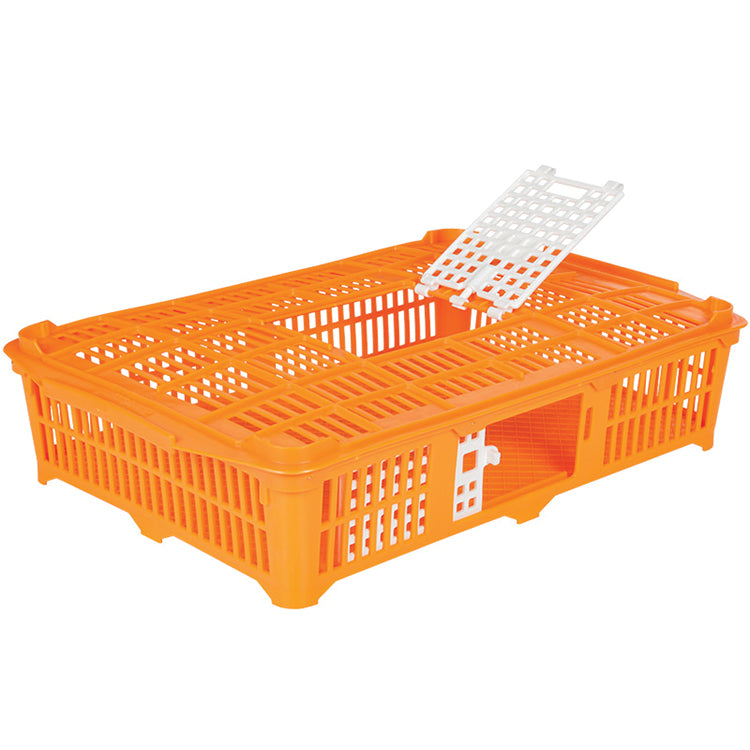 Poultry Cages