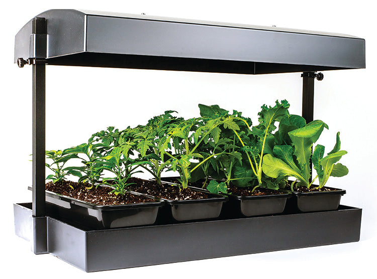 T5 GROW LIGHT GARDEN, BLACK – Mother Earth News