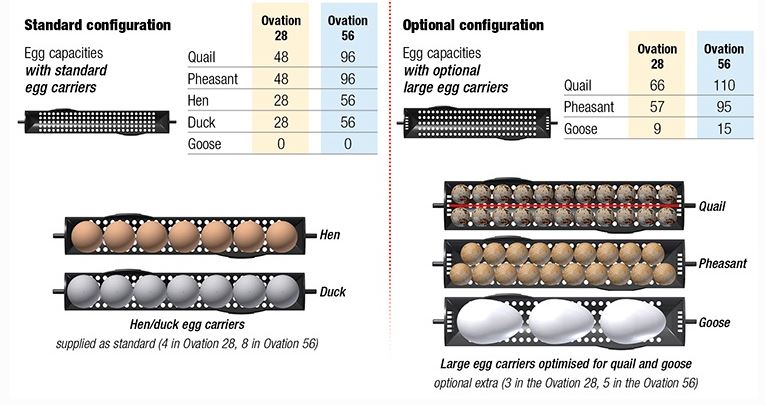 OVATION 28 LARGE EGG CARRIERS