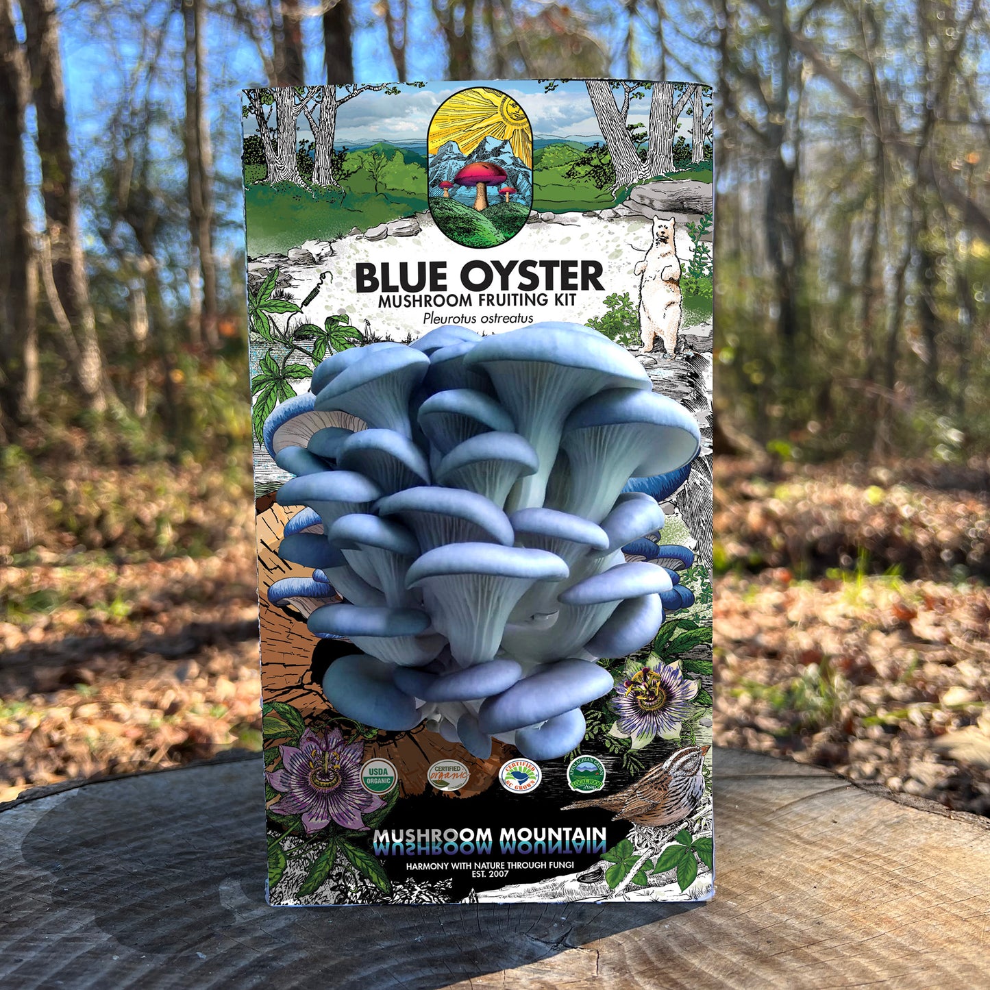 OYSTER MUSHROOM FRUITING KIT