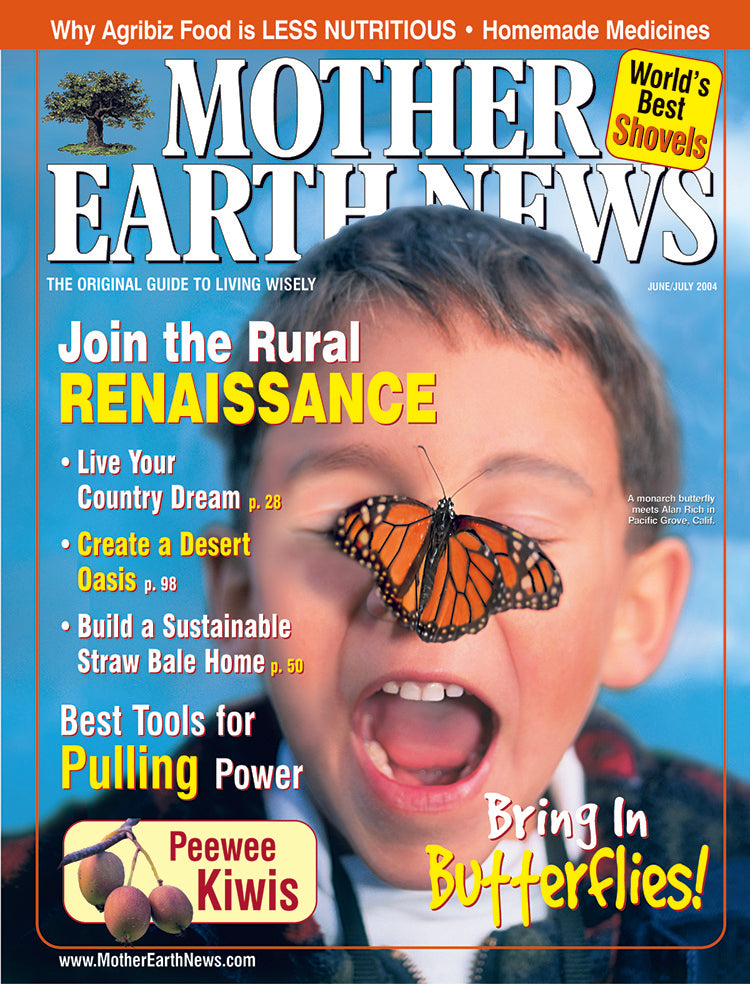 MOTHER EARTH NEWS MAGAZINE, JUNE/JULY 2004 #204