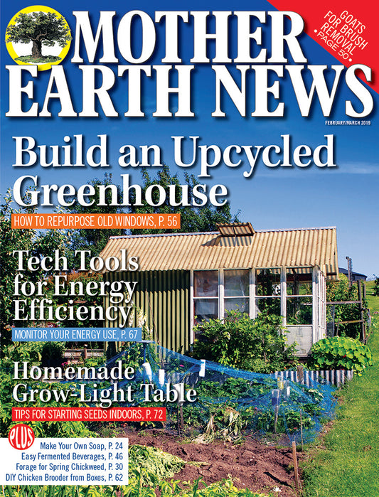 MOTHER EARTH NEWS MAGAZINE, FEBRUARY/MARCH 2019 #292