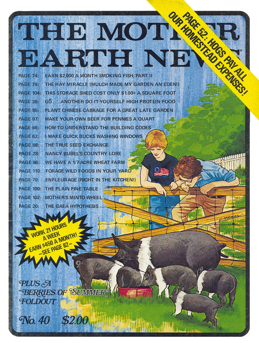 MOTHER EARTH NEWS MAGAZINE, JULY 1976 #40