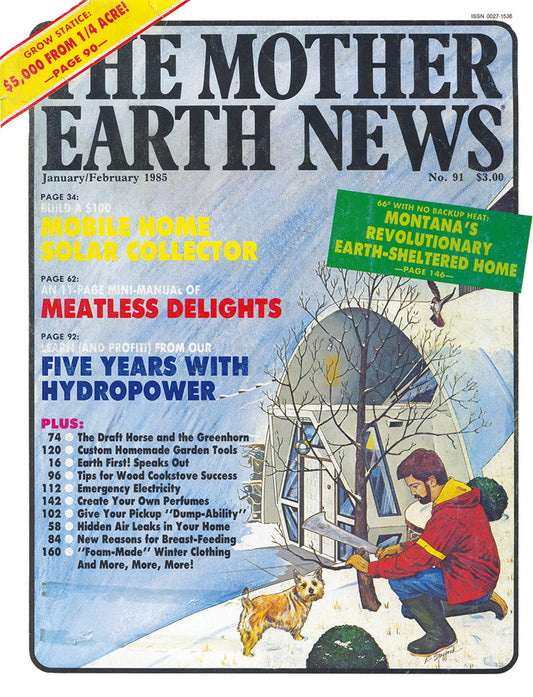 MOTHER EARTH NEWS MAGAZINE, JANUARY/FEBRUARY 1985 #91